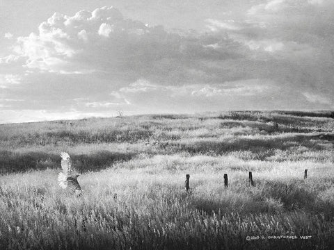Fence Line Flight I White Modern Wood Framed Art Print with Double Matting by Vest, Chris