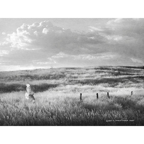 Fence Line Flight I Black Modern Wood Framed Art Print by Vest, Chris