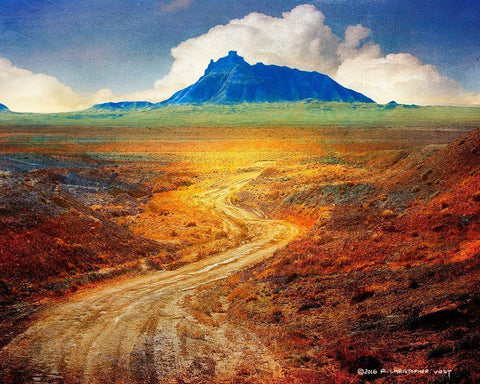 Golden Road II Black Ornate Wood Framed Art Print with Double Matting by Vest, Chris