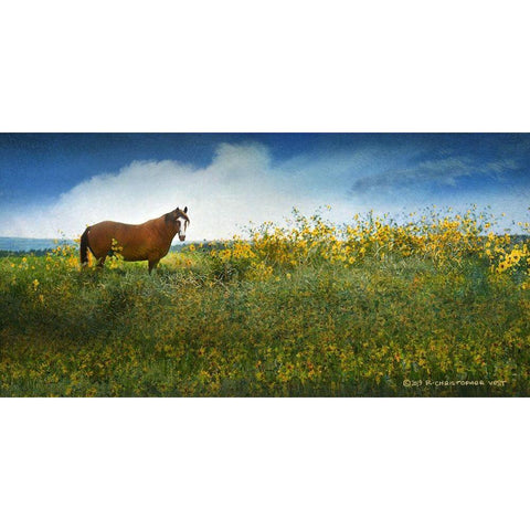 Horse in Flowers I Black Modern Wood Framed Art Print with Double Matting by Vest, Chris