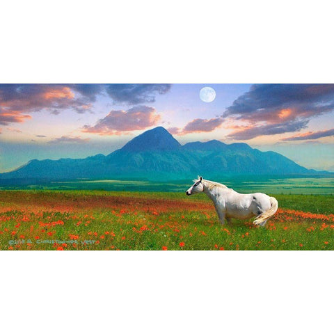 Horse in Flowers II Black Modern Wood Framed Art Print with Double Matting by Vest, Chris