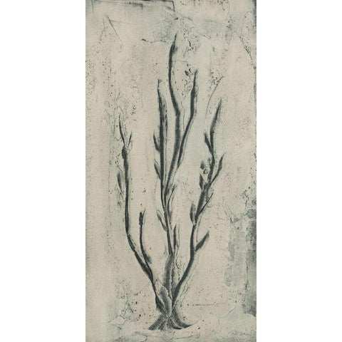 Sea Bevy I Black Modern Wood Framed Art Print by Stramel, Renee W.