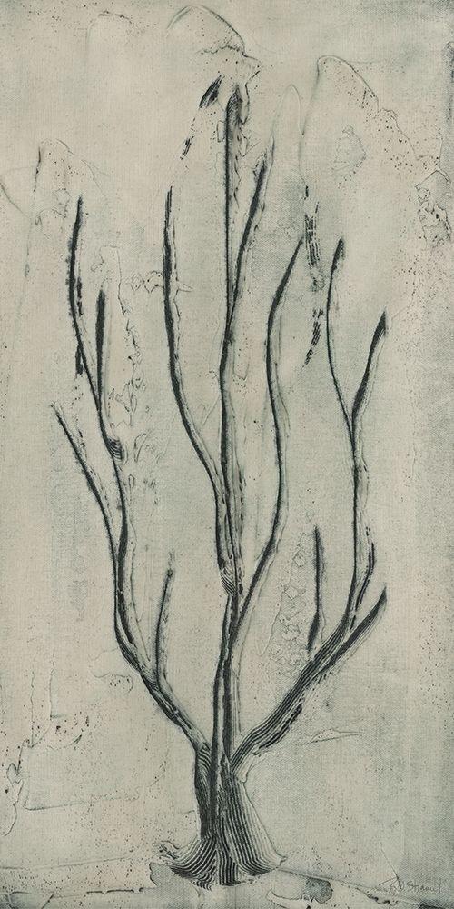 Image Only