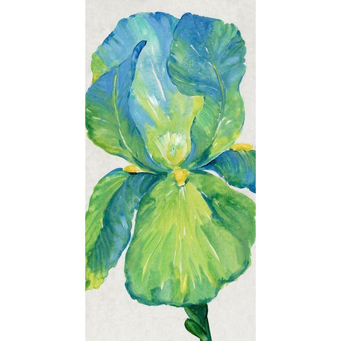 Iris Bloom in Green I White Modern Wood Framed Art Print by OToole, Tim