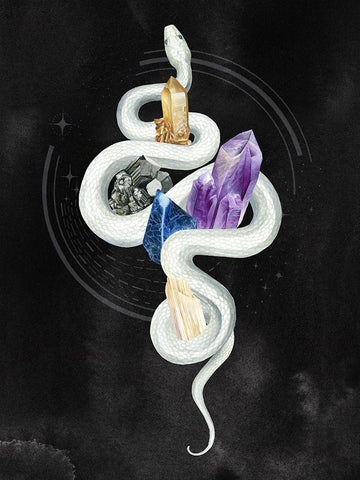 Crystalline Serpent II Black Ornate Wood Framed Art Print with Double Matting by Popp, Grace