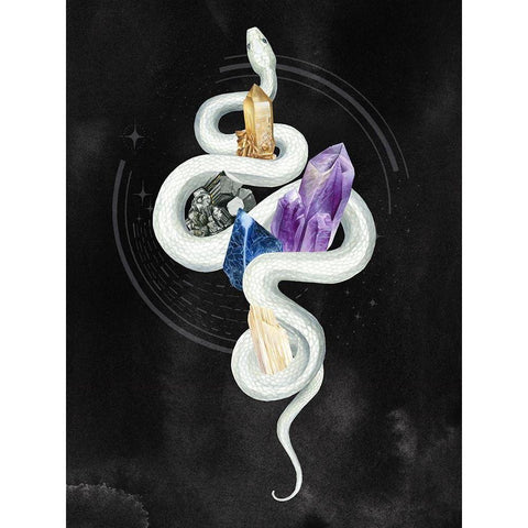 Crystalline Serpent II Black Modern Wood Framed Art Print with Double Matting by Popp, Grace