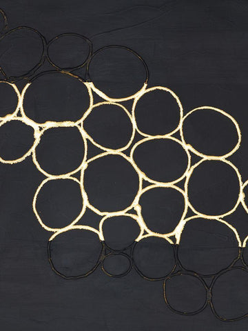 Gold Combo III Black Ornate Wood Framed Art Print with Double Matting by Stramel, Renee W.