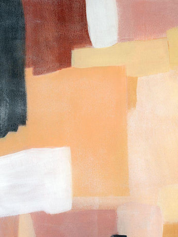 Summer Fruit IV White Modern Wood Framed Art Print with Double Matting by Popp, Grace