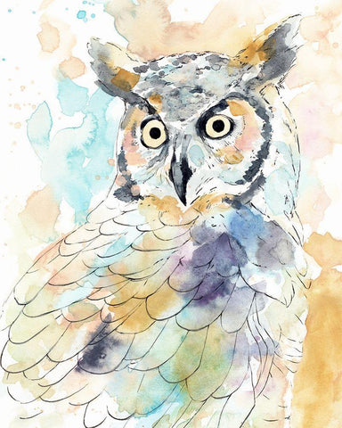 Owl Majestic II White Modern Wood Framed Art Print with Double Matting by Warren, Annie