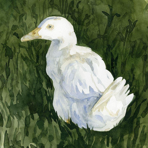 Lone Duck II Black Ornate Wood Framed Art Print with Double Matting by Caroline, Emma