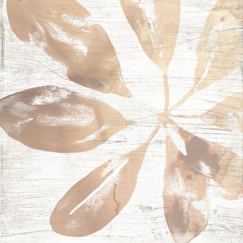 Neutral Palm Fossil III Black Modern Wood Framed Art Print by Vess, June Erica