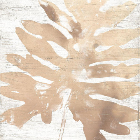 Neutral Palm Fossil V Black Ornate Wood Framed Art Print with Double Matting by Vess, June Erica