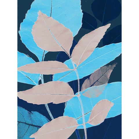 Folio I Black Modern Wood Framed Art Print with Double Matting by Aryai, Sia