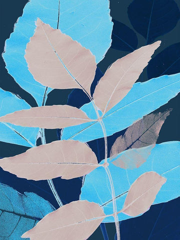 Folio I Black Ornate Wood Framed Art Print with Double Matting by Aryai, Sia