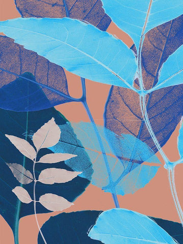 Folio II Black Ornate Wood Framed Art Print with Double Matting by Aryai, Sia