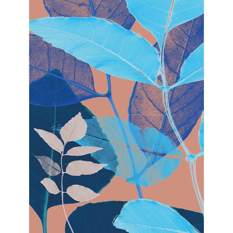 Folio II White Modern Wood Framed Art Print by Aryai, Sia