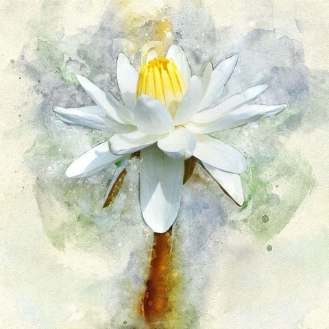 Pretty in Pastel II White Modern Wood Framed Art Print by Robertson, Leda