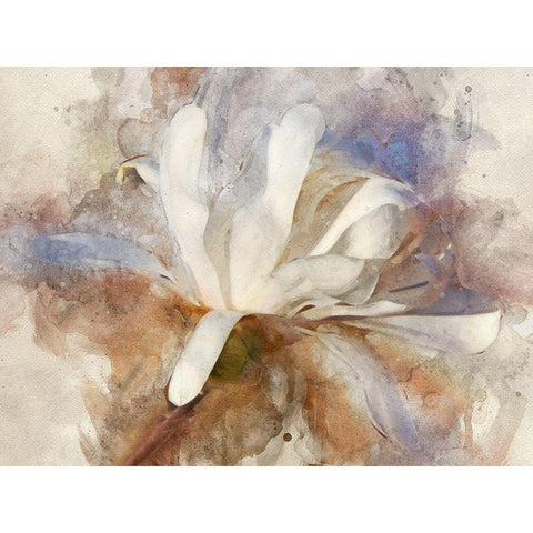 Playful Petals III White Modern Wood Framed Art Print by Robertson, Leda