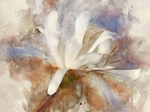 Playful Petals III Black Ornate Wood Framed Art Print with Double Matting by Robertson, Leda