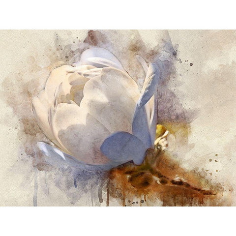 Playful Petals IV White Modern Wood Framed Art Print by Robertson, Leda