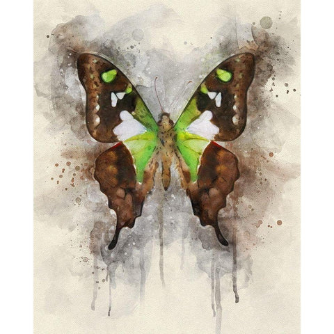 Natural Abstraction I White Modern Wood Framed Art Print by Robertson, Leda