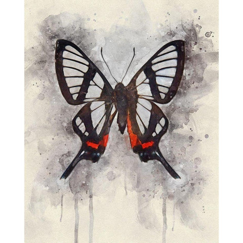 Natural Abstraction II Black Modern Wood Framed Art Print with Double Matting by Robertson, Leda