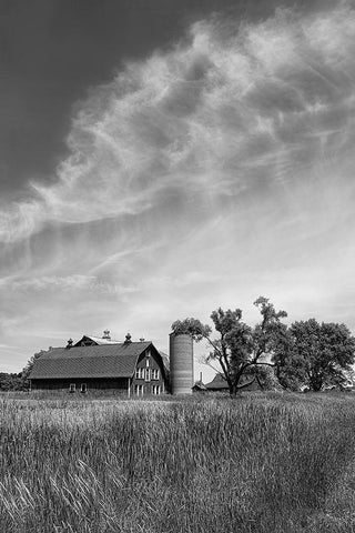 Farm Serenity I White Modern Wood Framed Art Print with Double Matting by Robertson, Leda