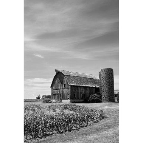 Farm Serenity II Gold Ornate Wood Framed Art Print with Double Matting by Robertson, Leda