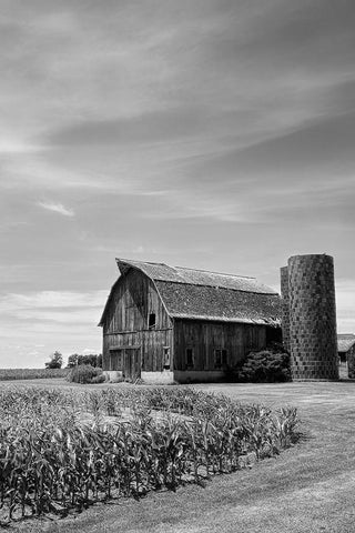 Farm Serenity II White Modern Wood Framed Art Print with Double Matting by Robertson, Leda