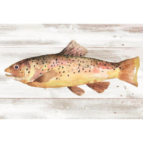 Spotted Trout I White Modern Wood Framed Art Print by Warren, Annie