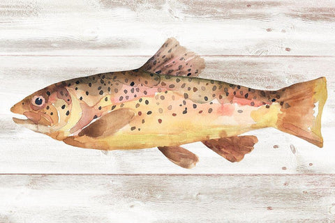 Spotted Trout I Black Ornate Wood Framed Art Print with Double Matting by Warren, Annie