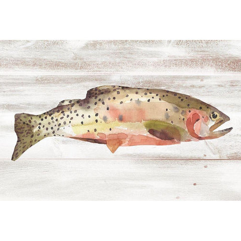 Spotted Trout II White Modern Wood Framed Art Print by Warren, Annie