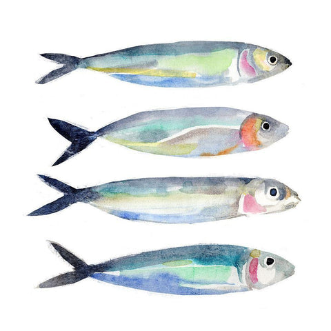 Sardine Team I White Modern Wood Framed Art Print with Double Matting by Warren, Annie