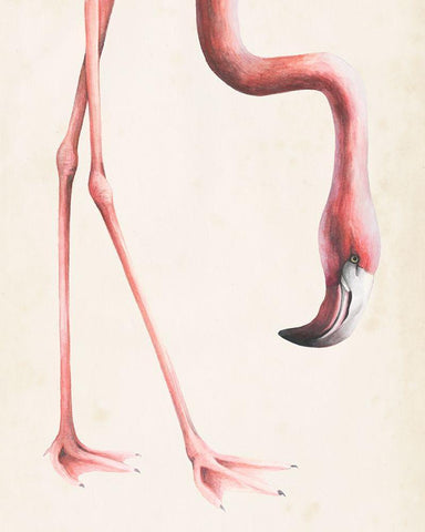 At Your Feet I White Modern Wood Framed Art Print with Double Matting by Popp, Grace