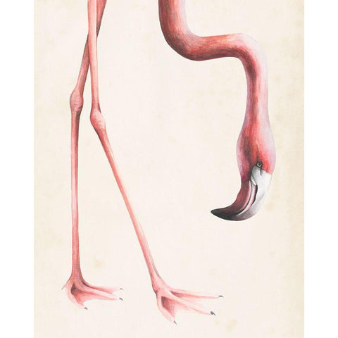 At Your Feet I White Modern Wood Framed Art Print by Popp, Grace