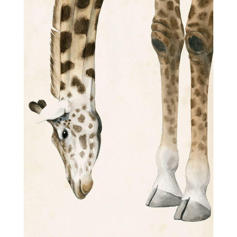 At Your Feet II Black Modern Wood Framed Art Print with Double Matting by Popp, Grace