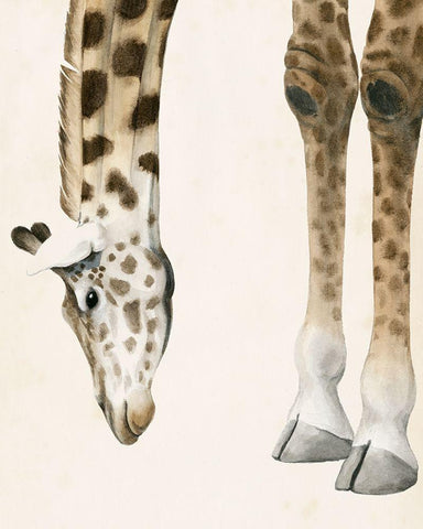 At Your Feet II Black Ornate Wood Framed Art Print with Double Matting by Popp, Grace