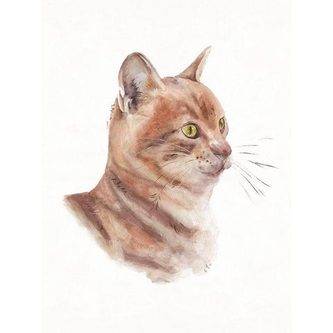 Orange Cat I White Modern Wood Framed Art Print by Wang, Melissa