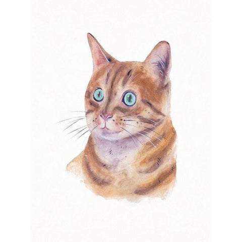 Orange Cat II White Modern Wood Framed Art Print by Wang, Melissa