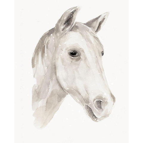 Ivory Stallion I Gold Ornate Wood Framed Art Print with Double Matting by Warren, Annie
