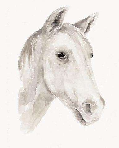 Ivory Stallion I Black Ornate Wood Framed Art Print with Double Matting by Warren, Annie