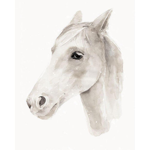 Ivory Stallion II White Modern Wood Framed Art Print by Warren, Annie