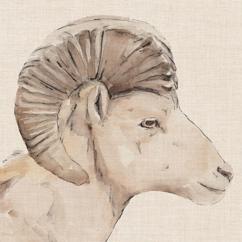 Bighorn Profile II Gold Ornate Wood Framed Art Print with Double Matting by Warren, Annie
