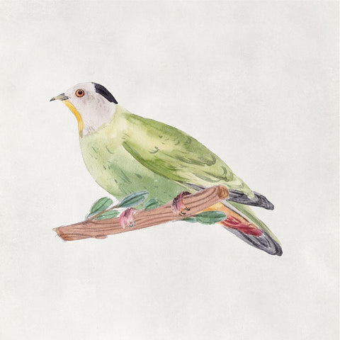 Bird Sketch III White Modern Wood Framed Art Print by Wang, Melissa