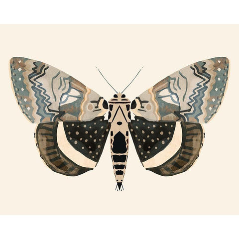 Neutral Moth I Black Modern Wood Framed Art Print with Double Matting by Barnes, Victoria
