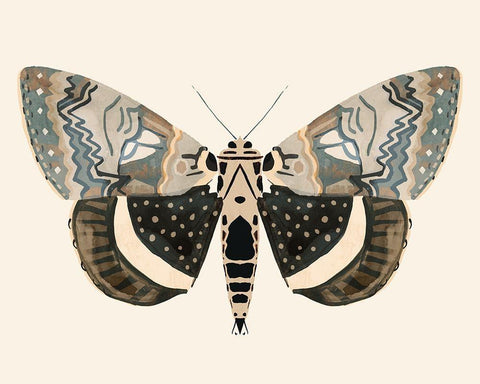 Neutral Moth I White Modern Wood Framed Art Print with Double Matting by Barnes, Victoria