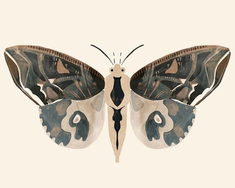 Neutral Moth II White Modern Wood Framed Art Print with Double Matting by Barnes, Victoria