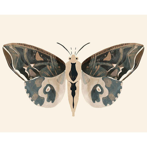 Neutral Moth II Black Modern Wood Framed Art Print with Double Matting by Barnes, Victoria