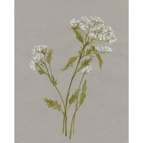 White Field Flowers III Gold Ornate Wood Framed Art Print with Double Matting by Goldberger, Jennifer