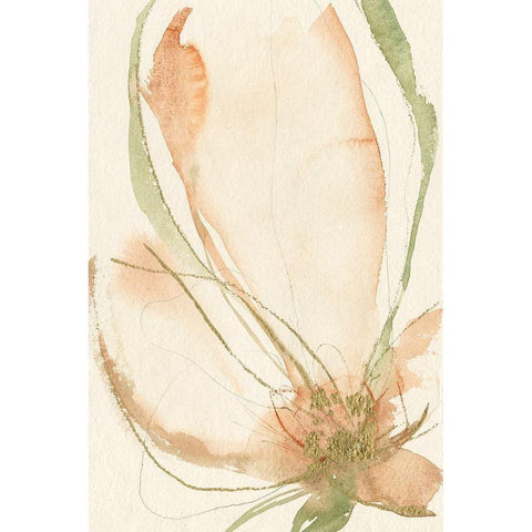 Petal Sketches I Gold Ornate Wood Framed Art Print with Double Matting by Goldberger, Jennifer